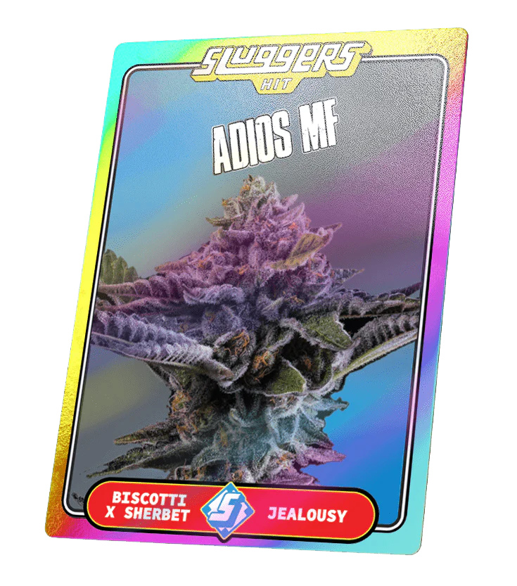 Adios MF Indica Juiced* 5-Pack - Image 4