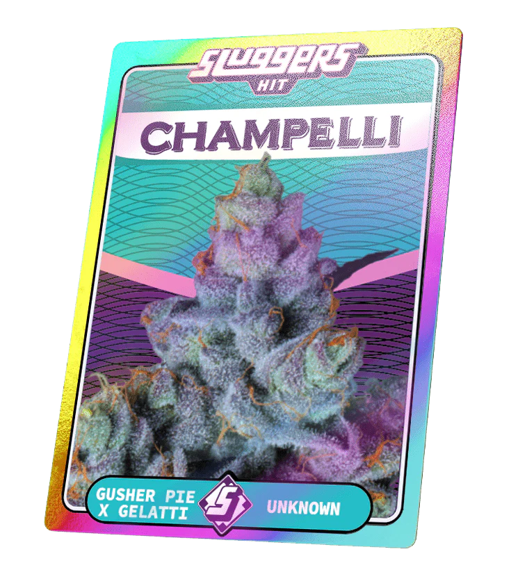 Champelli Cassis Indica Juiced* 5-Pack - Image 5