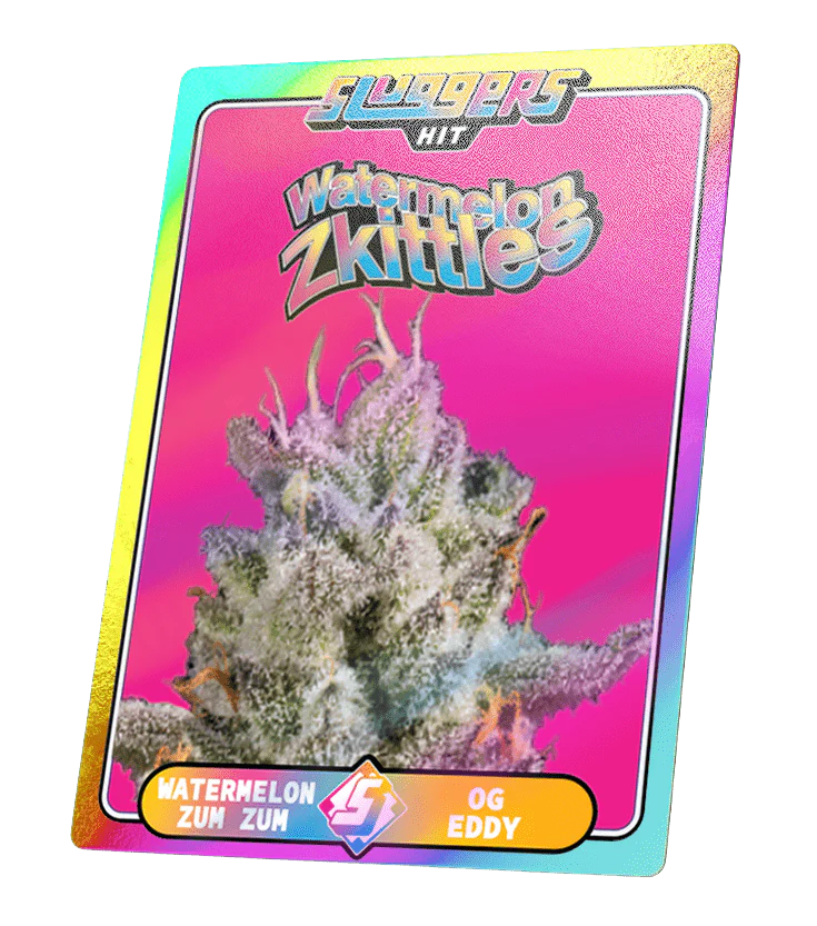 Watermelon Zkittles Hybrid Juiced* 5-Pack - Image 4